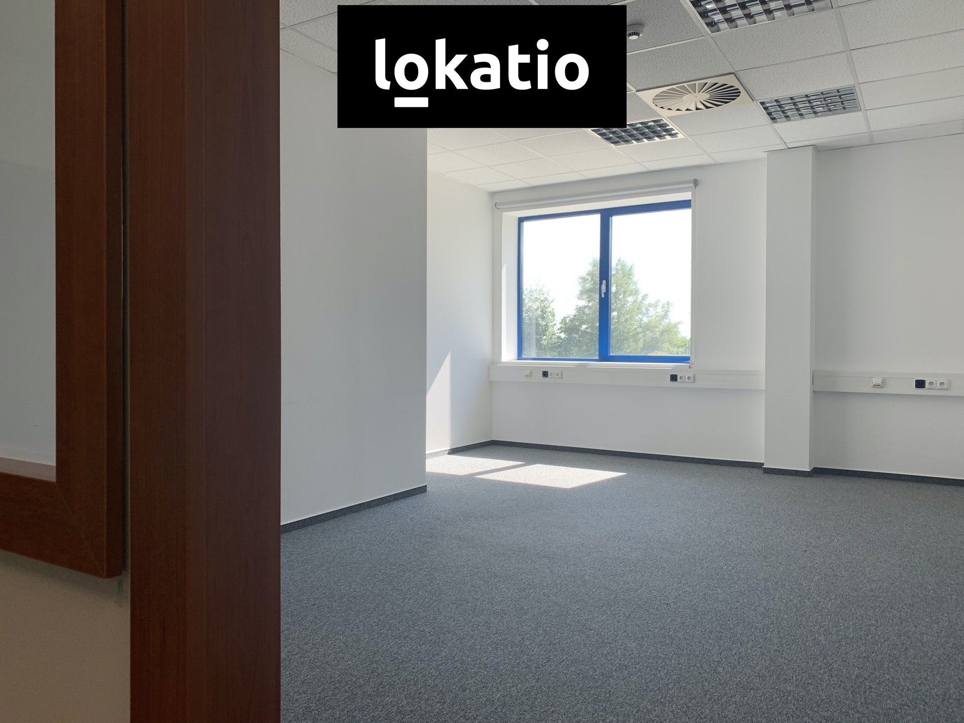 Pronájem komerčního prostoru 1055 m² - foto 7