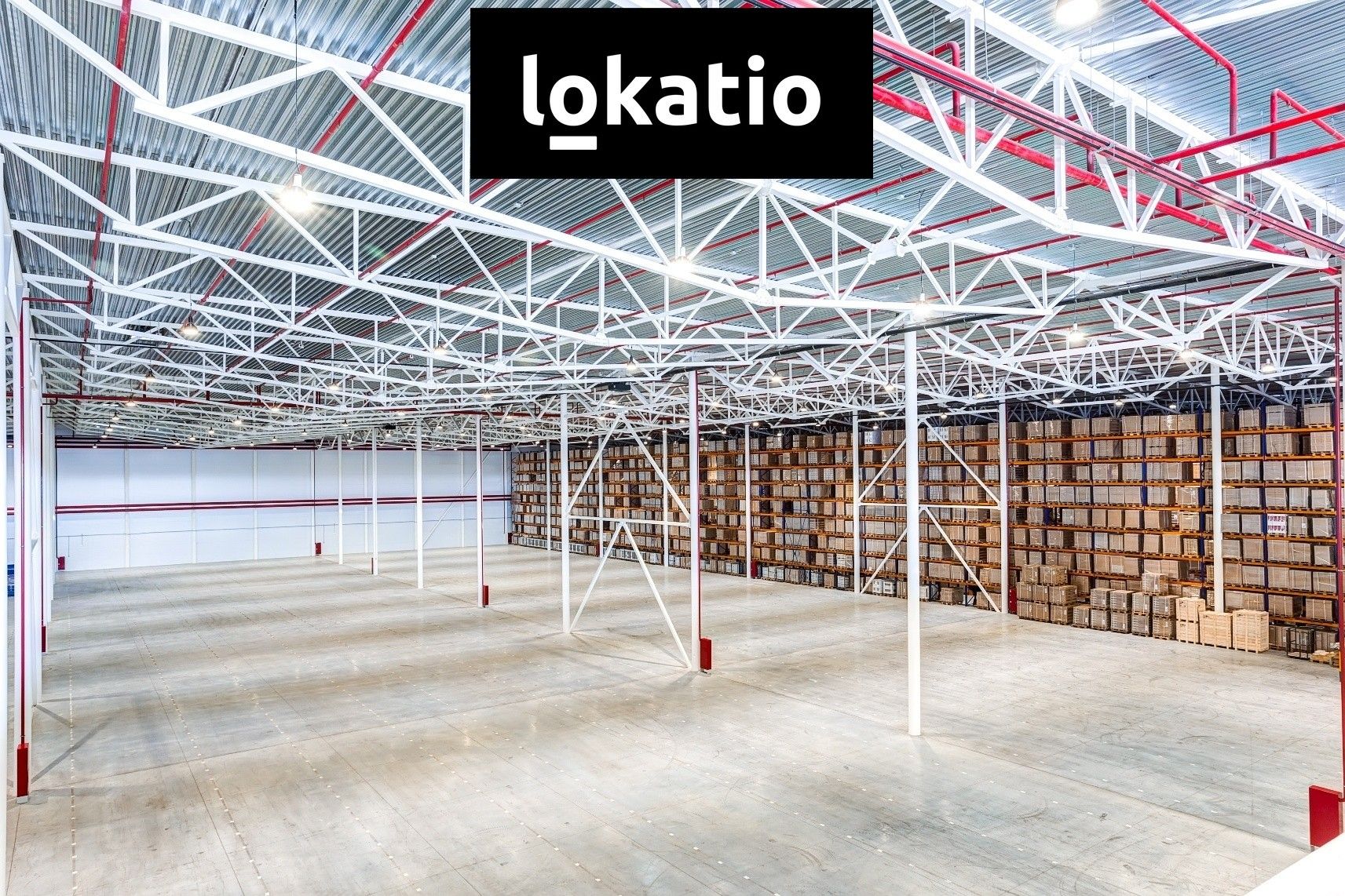 Pronájem komerčního prostoru 26198 m² - foto 6