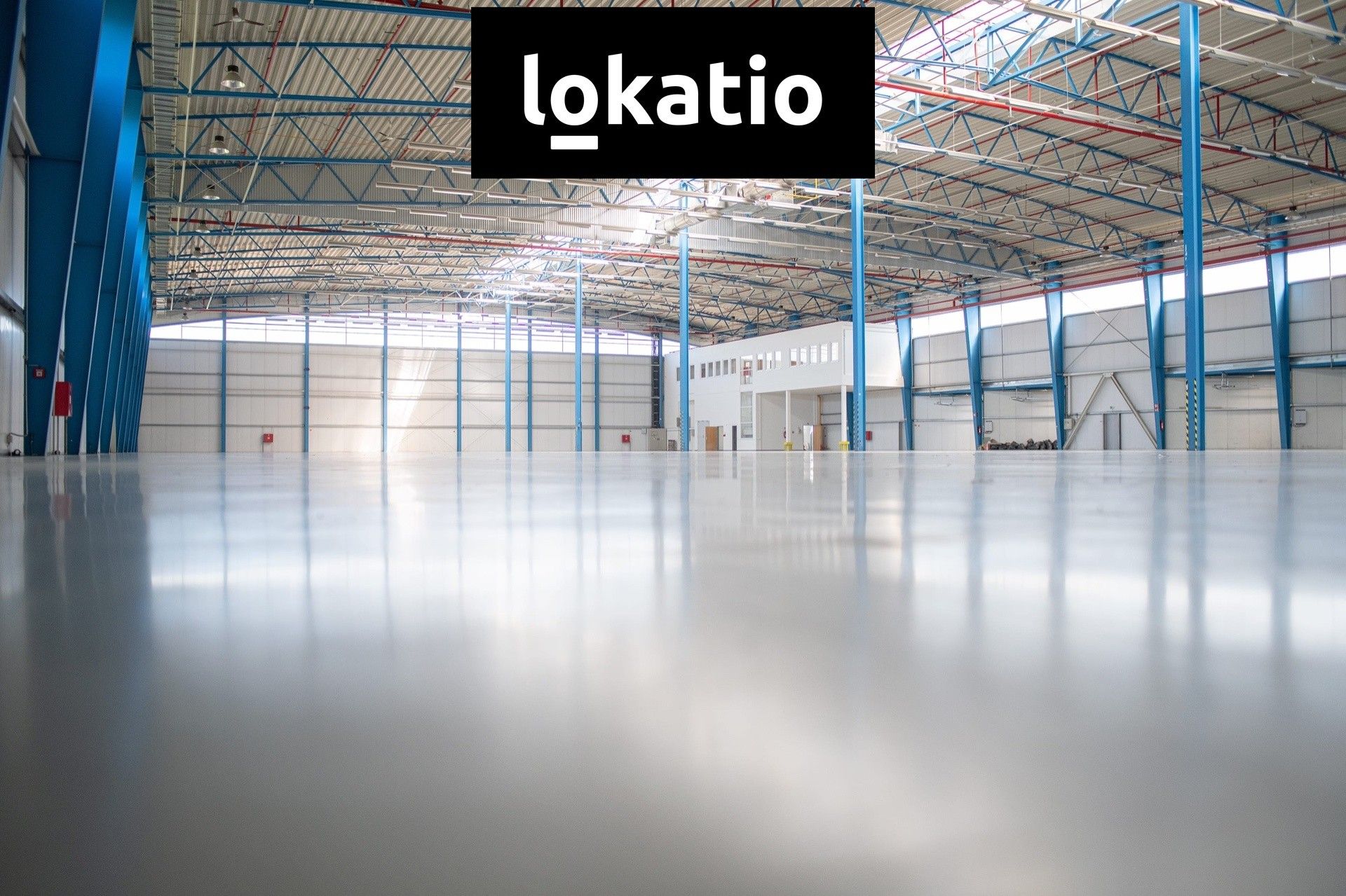 Pronájem komerčního prostoru 4432 m² - foto 4