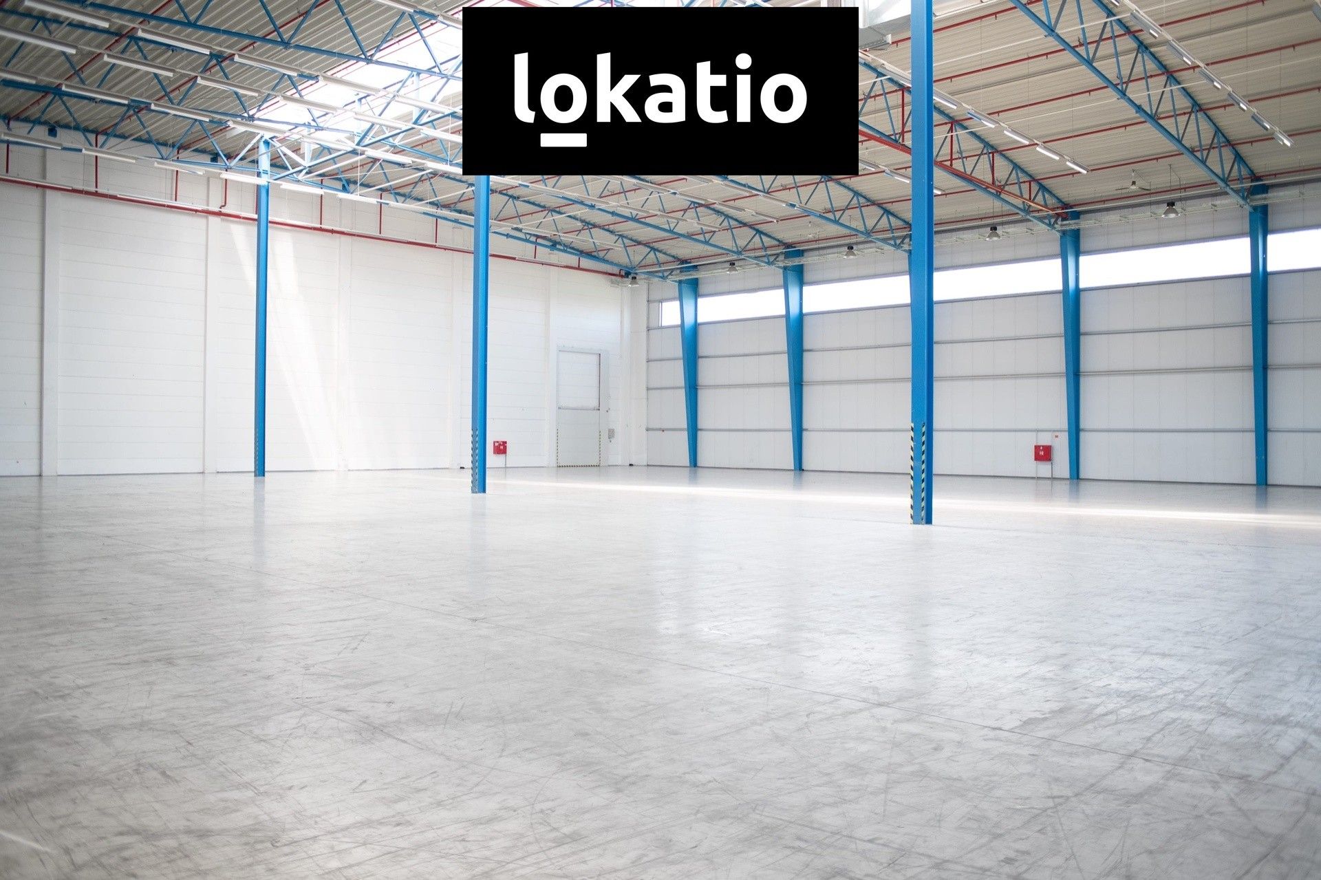 Pronájem komerčního prostoru 4432 m² - foto 3