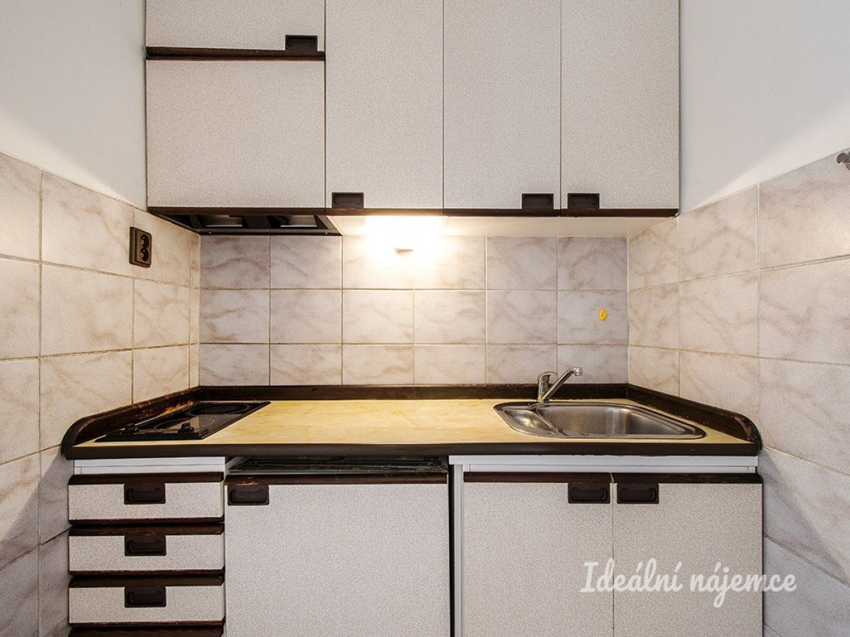 Pronájem bytu 2+1 43 m² - foto 3