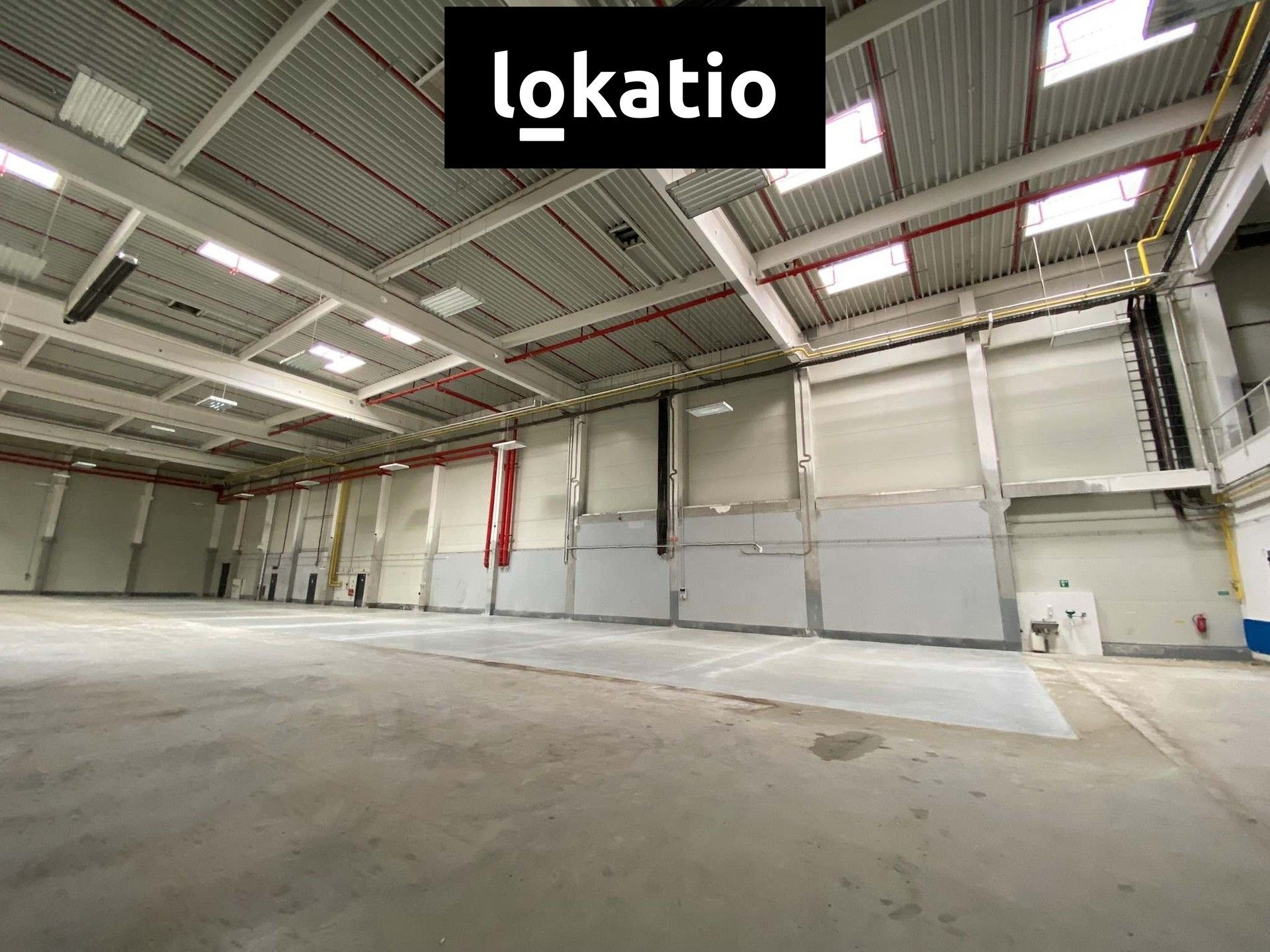 Pronájem komerčního prostoru 8100 m² - foto 11