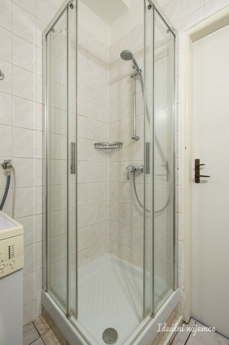 Pronájem bytu 2+1 43 m² - foto 9