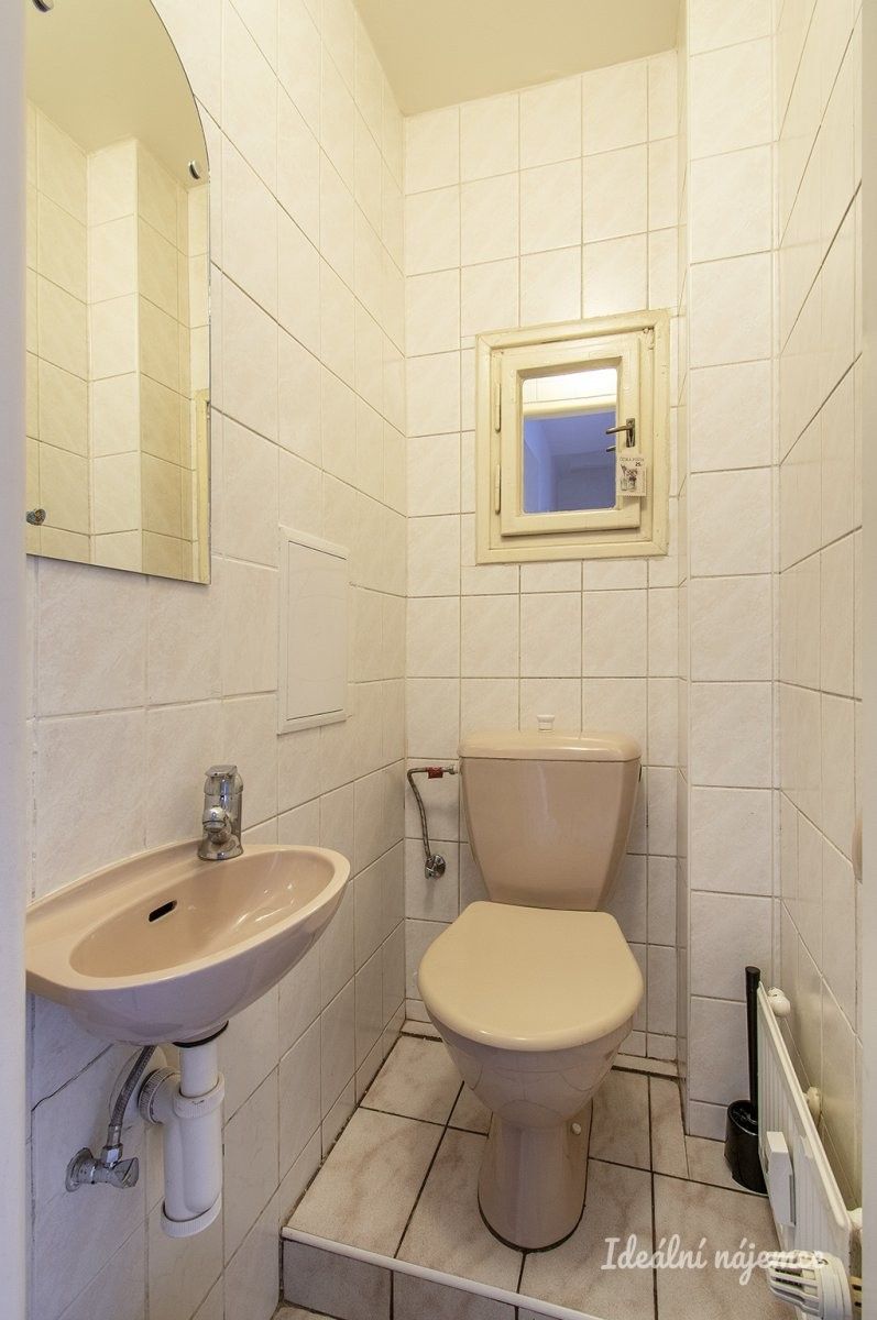 Pronájem bytu 2+1 43 m² - foto 11