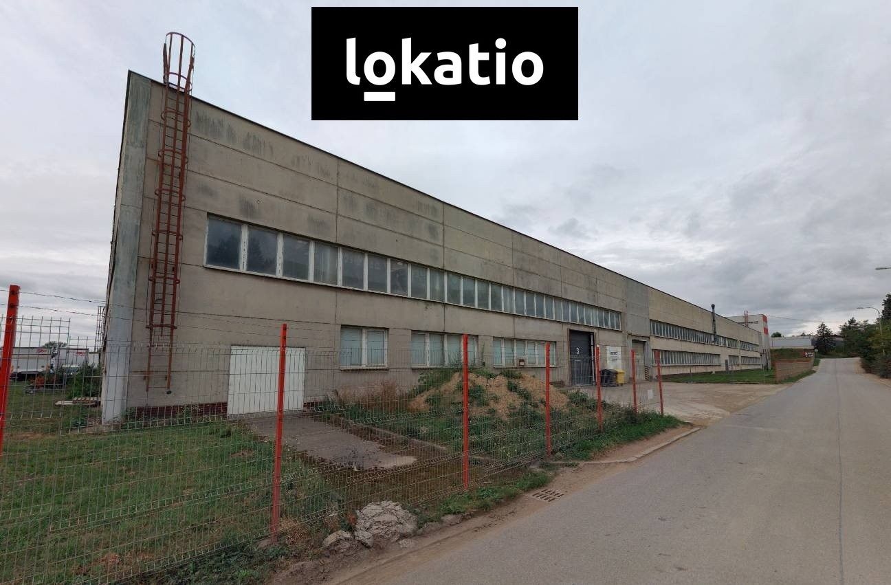 Pronájem komerčního prostoru 1256 m² - foto 4