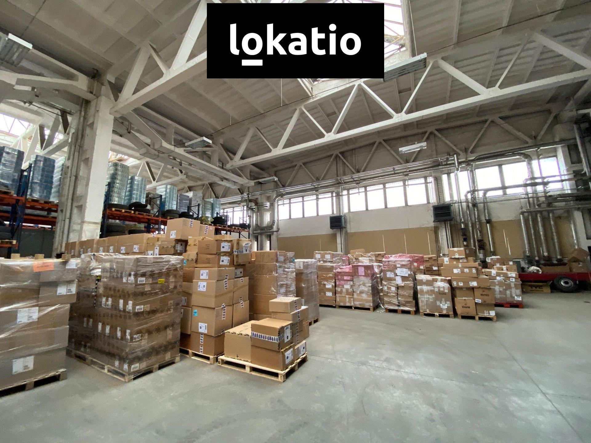 Pronájem komerčního prostoru 1256 m² - foto 3