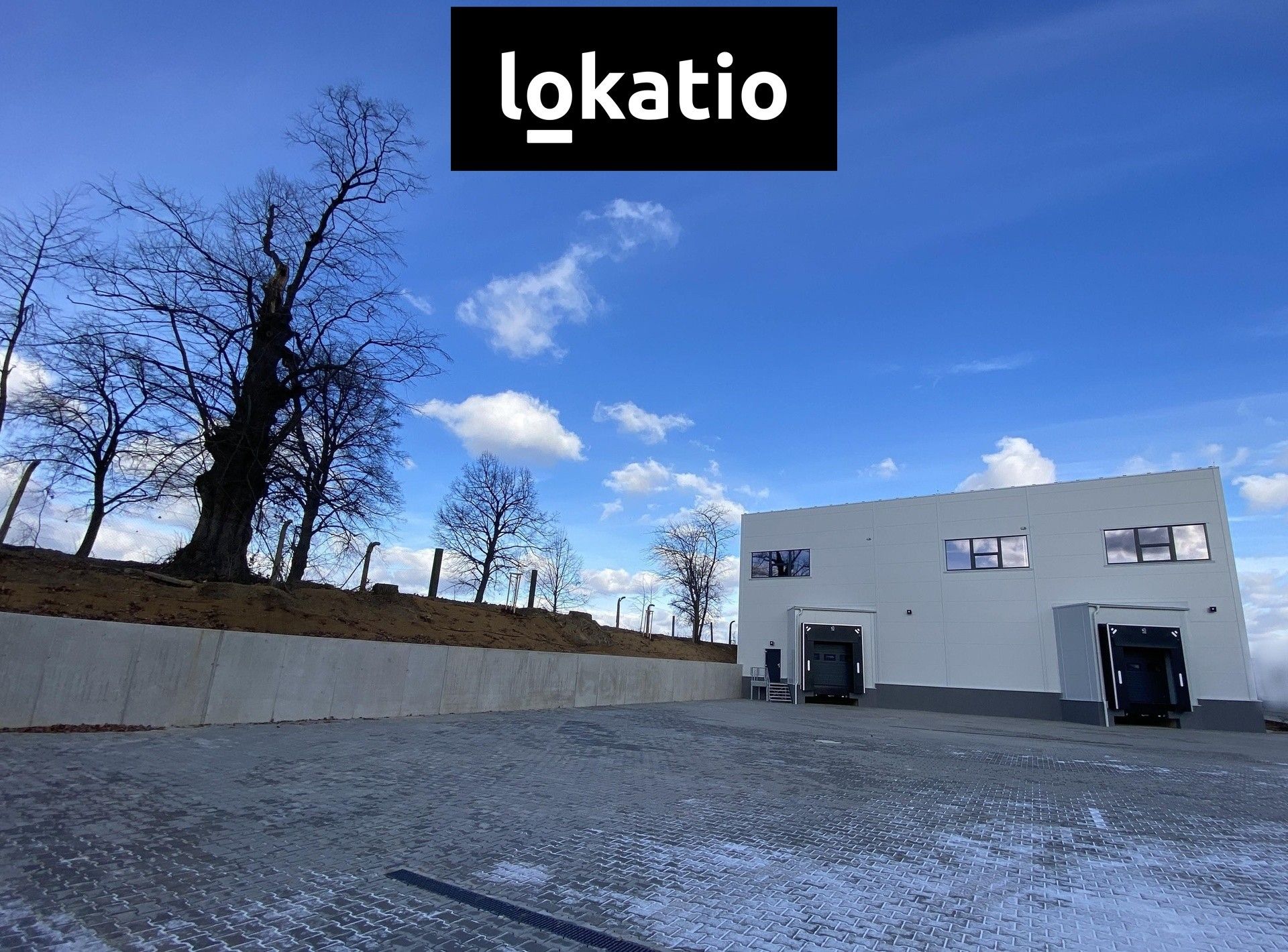 Pronájem komerčního prostoru 2928 m² - foto 5