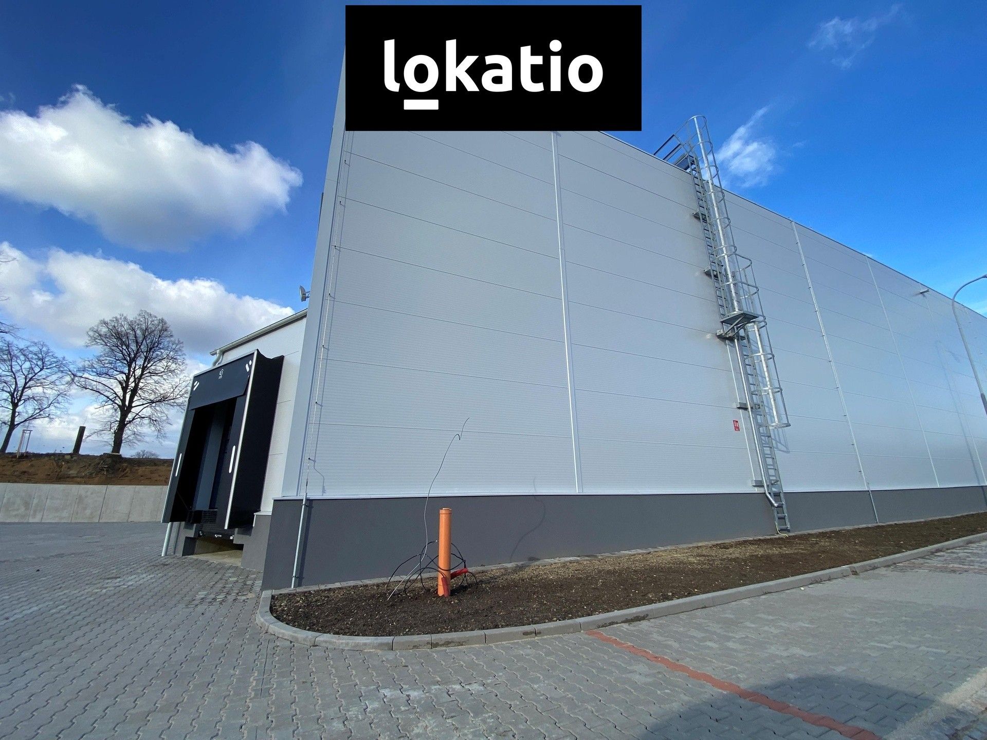 Pronájem komerčního prostoru 2928 m² - foto 4