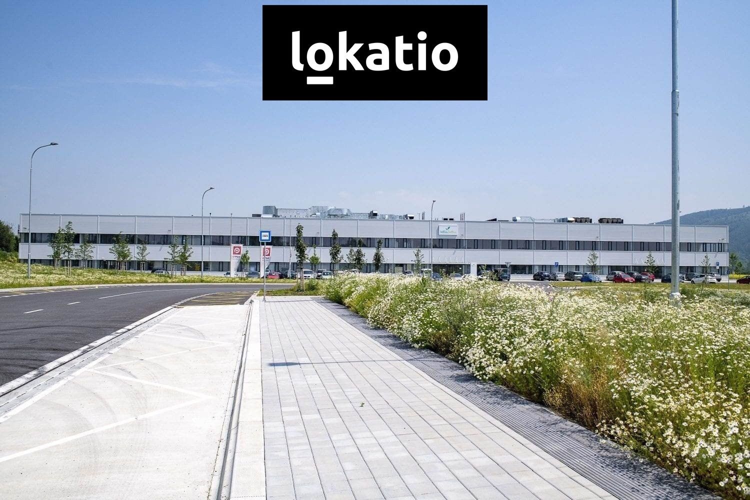Pronájem komerčního prostoru 2613 m² - foto 4