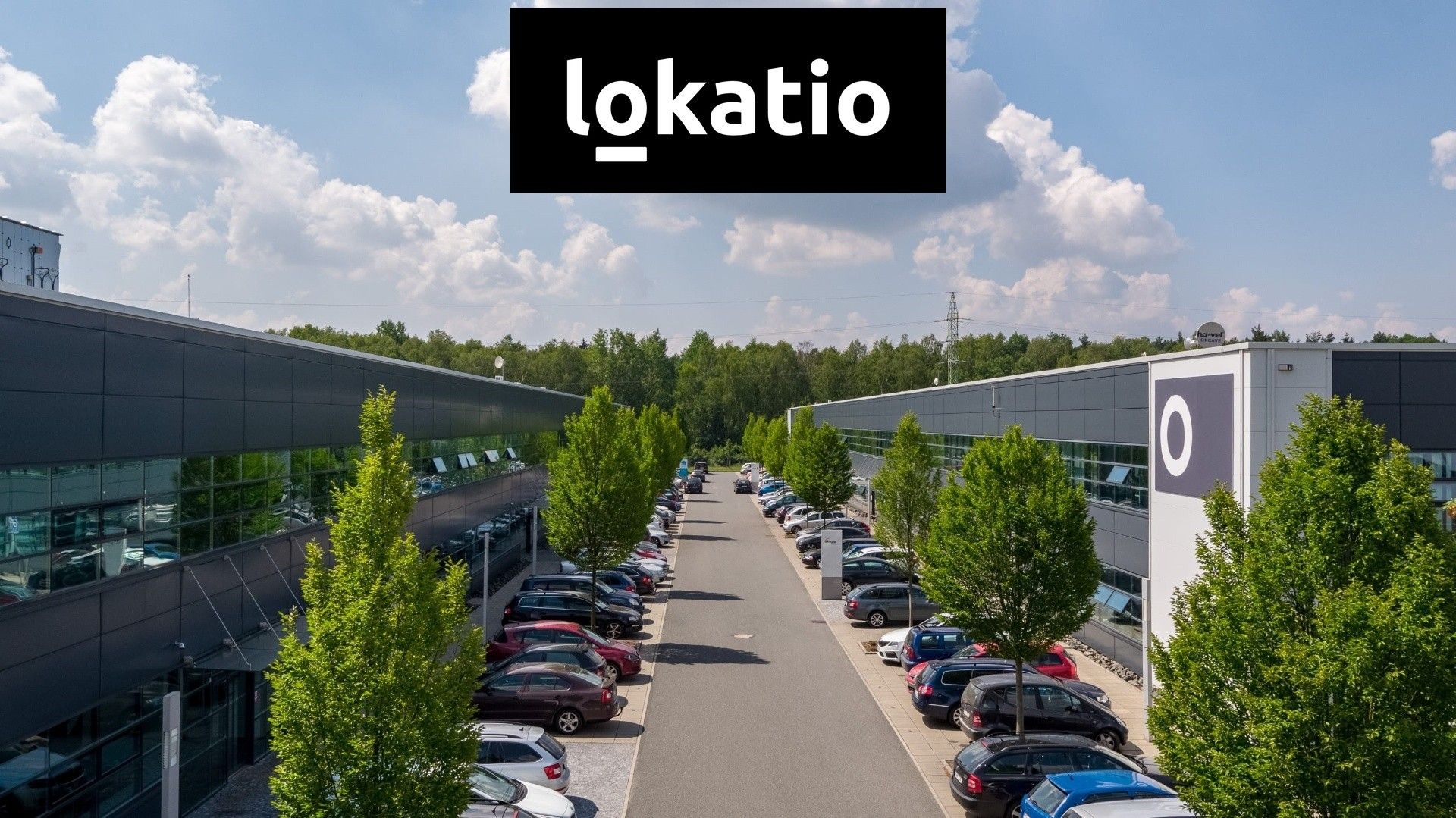 Pronájem komerčního prostoru 2613 m² - foto 10
