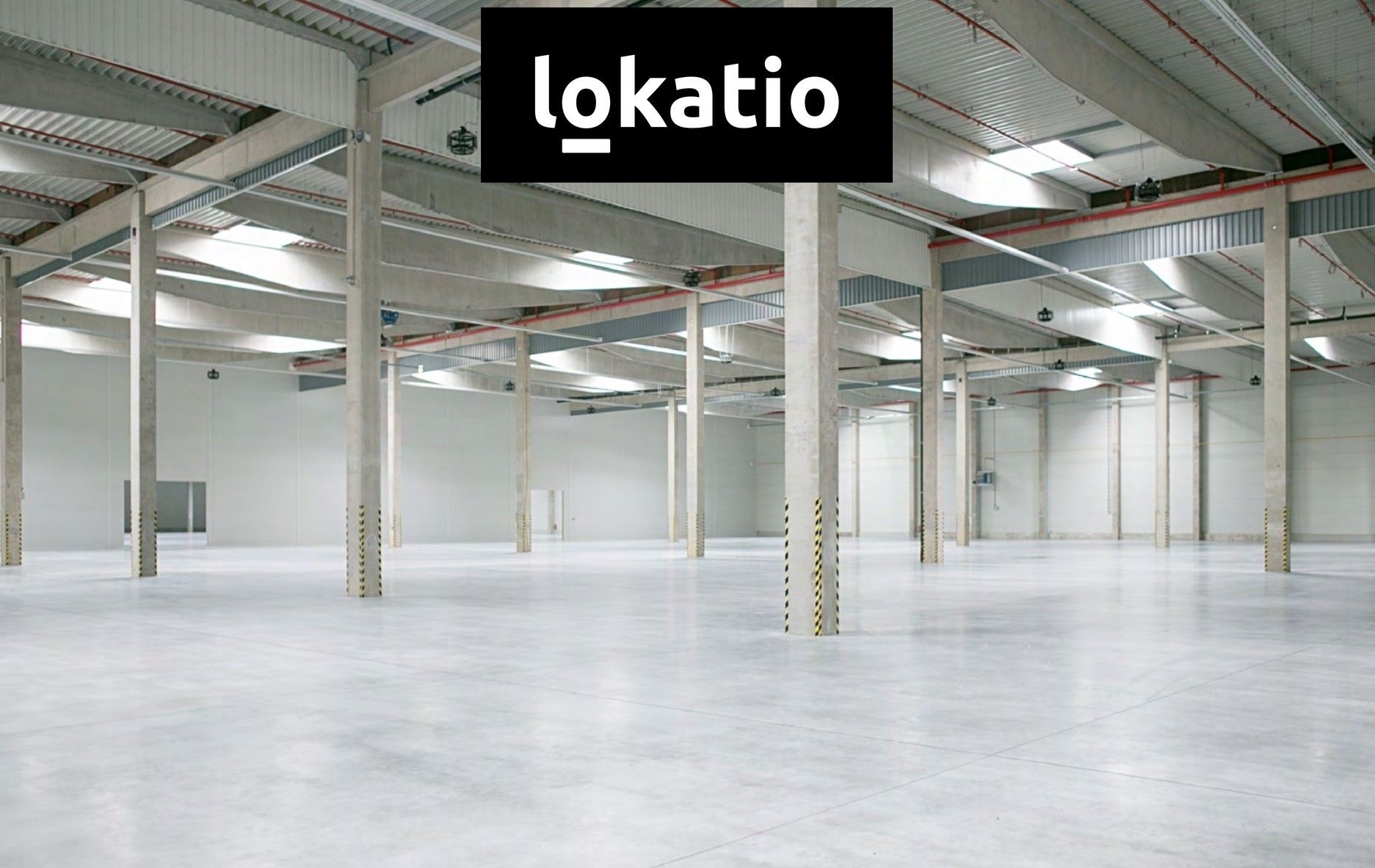 Pronájem komerčního prostoru 8994 m² - foto 6