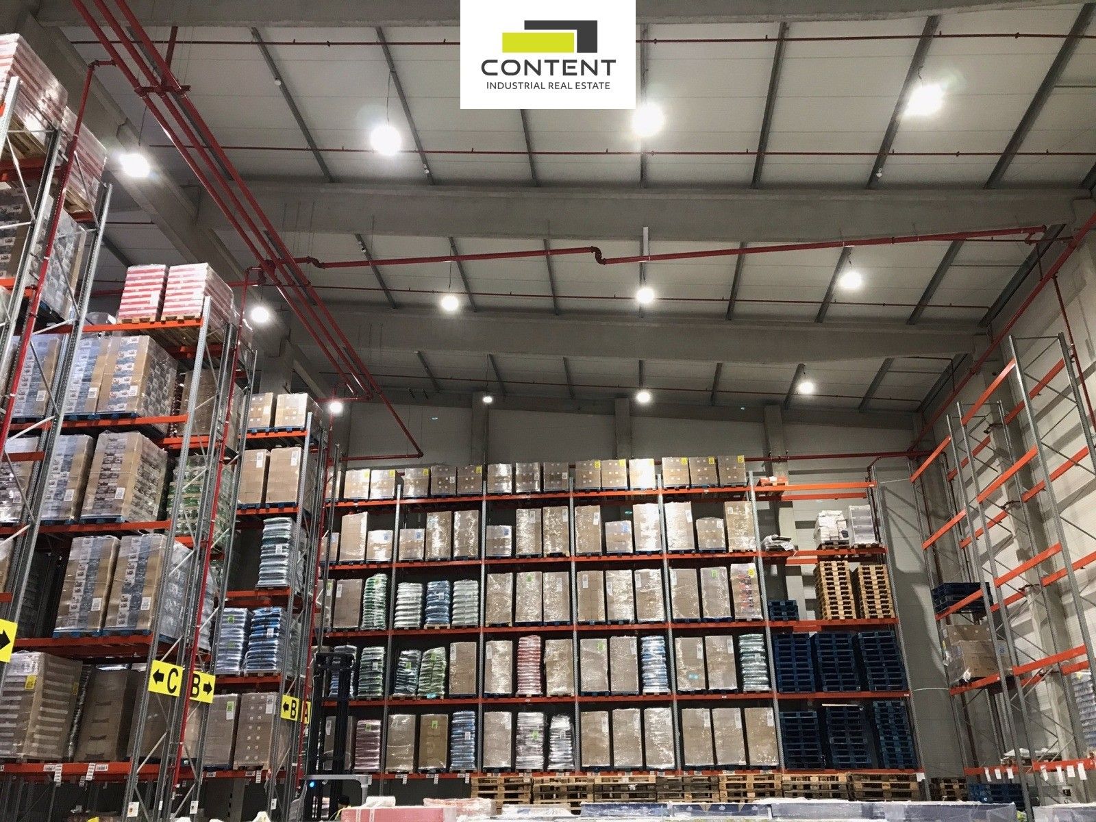 Pronájem komerčního prostoru 7000 m² - foto 4