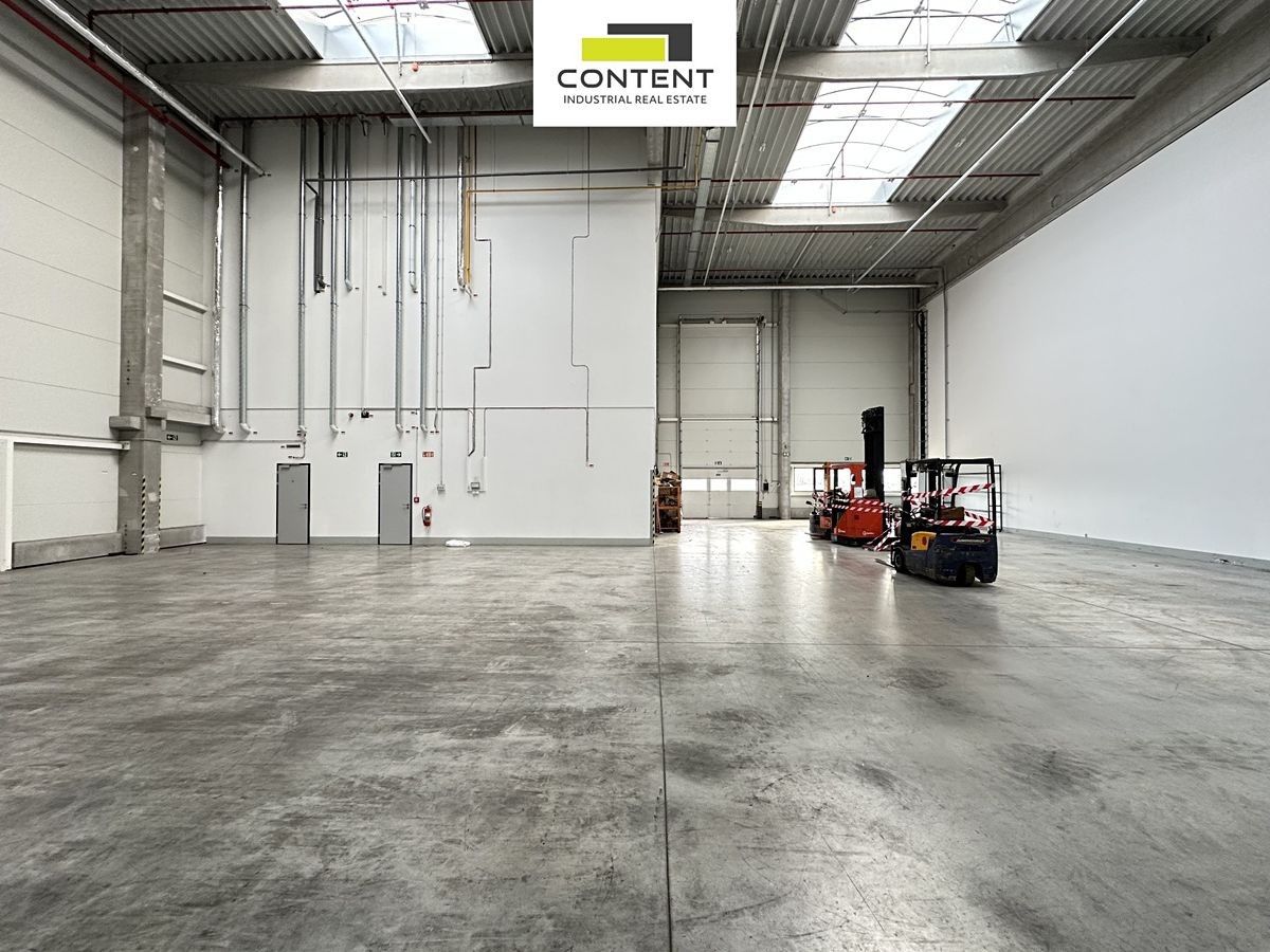 Pronájem komerčního prostoru 4859 m² - foto 7