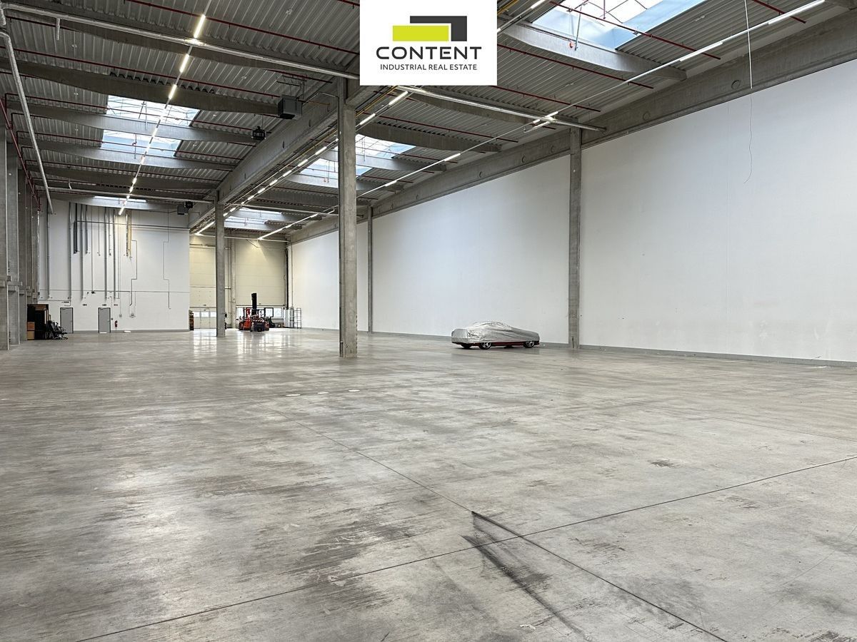 Pronájem komerčního prostoru 4859 m² - foto 3