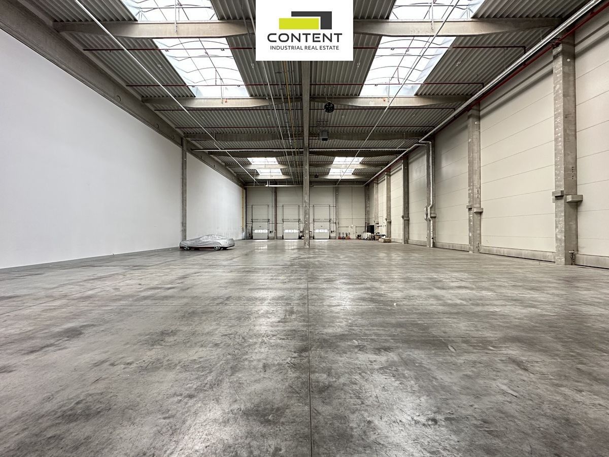 Pronájem komerčního prostoru 4859 m² - foto 9