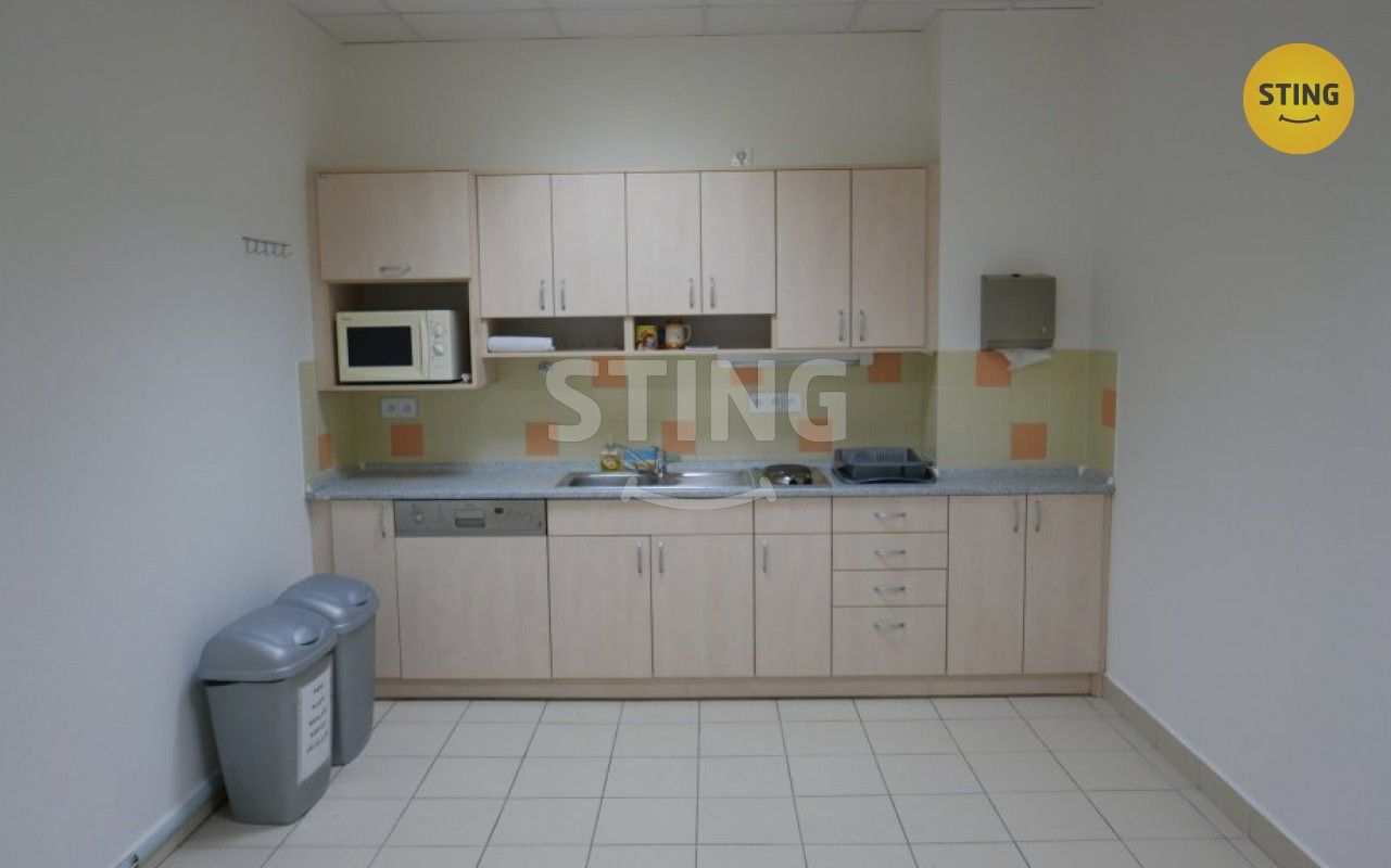 Pronájem komerčního prostoru 310 m² - foto 6