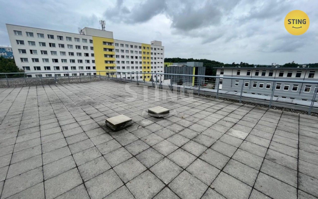 Pronájem komerčního prostoru 310 m² - foto 8