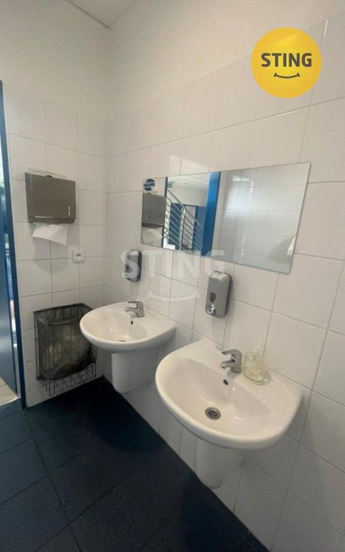 Pronájem komerčního prostoru 310 m² - foto 11