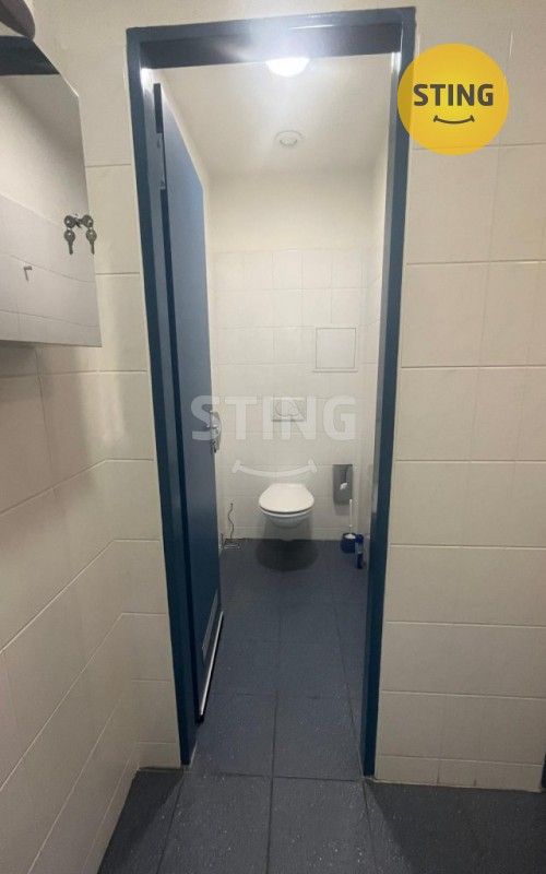 Pronájem komerčního prostoru 310 m² - foto 13