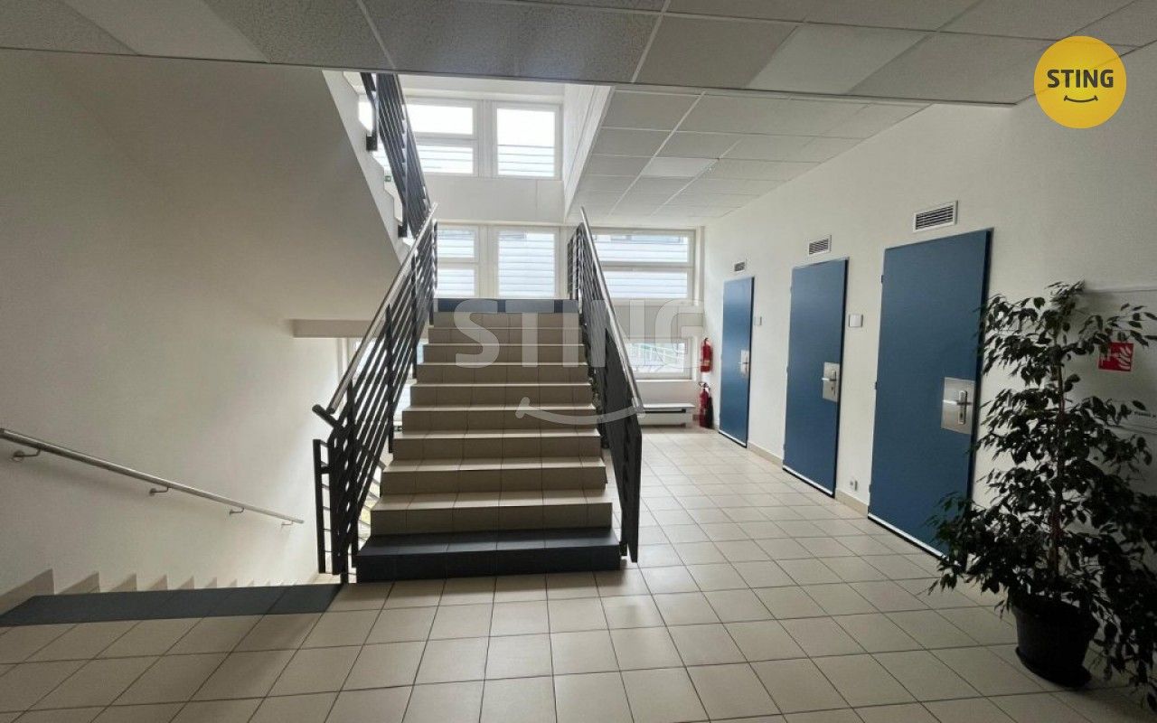 Pronájem komerčního prostoru 310 m² - foto 9