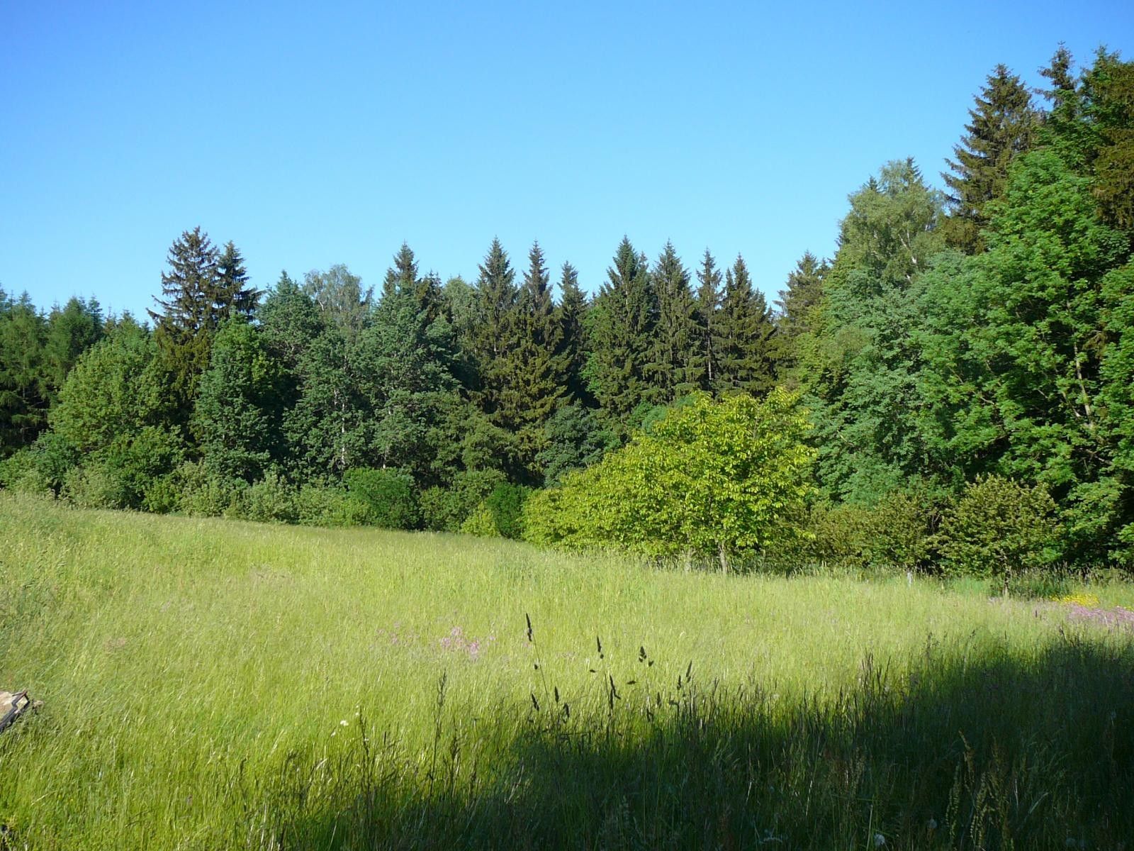 Prodej domu 1000 m² - foto 6