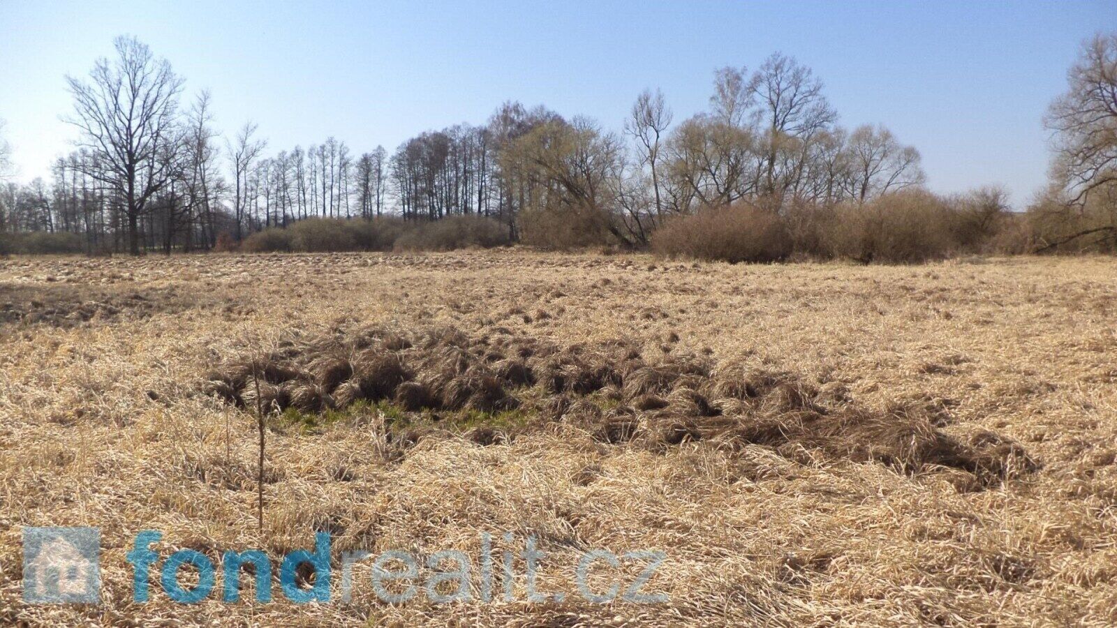 Prodej nemovitosti 4593 m² - foto 3