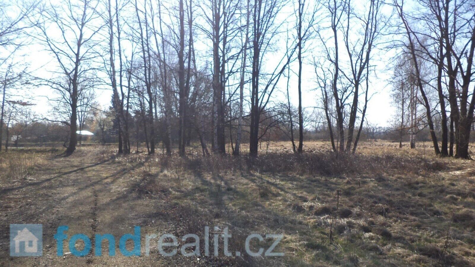 Prodej nemovitosti 4593 m² - foto 5