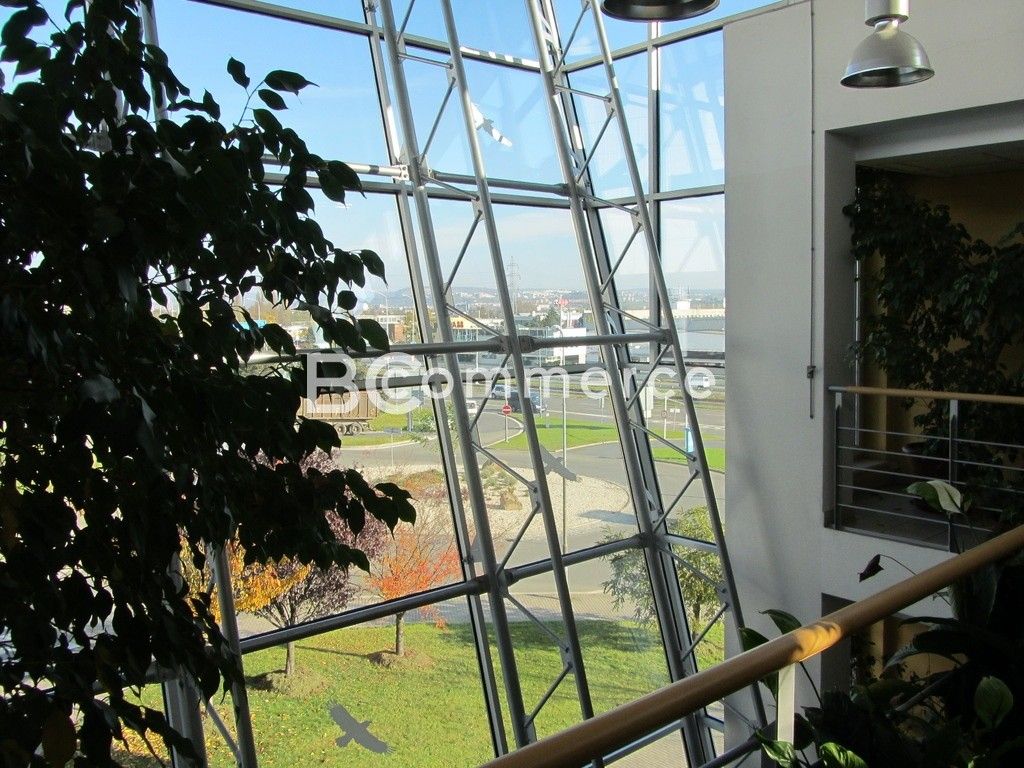 Pronájem komerčního prostoru 135 m² - foto 7