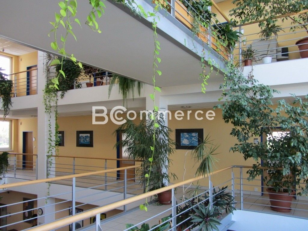 Pronájem komerčního prostoru 135 m² - foto 9