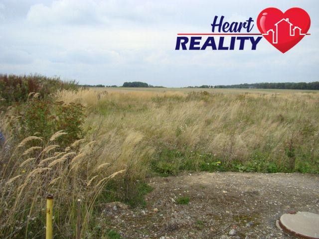 Prodej pozemku 22500 m² - foto 3