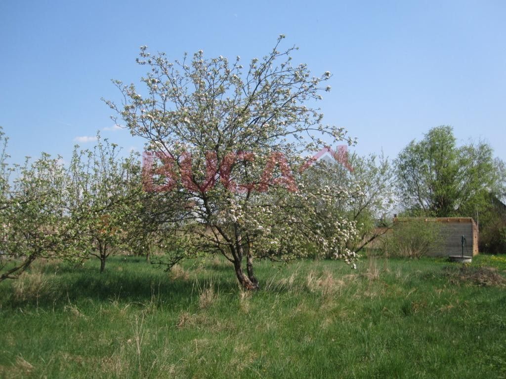 Prodej pozemku 3500 m² - foto 4