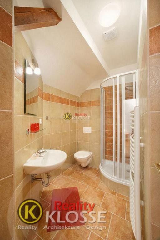 Prodej komerčního prostoru 200 m² - foto 14