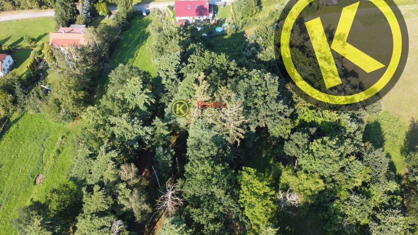 Prodej pozemku 7101 m² - foto 4