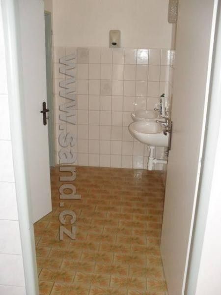 Pronájem komerčního prostoru 187 m² - foto 3