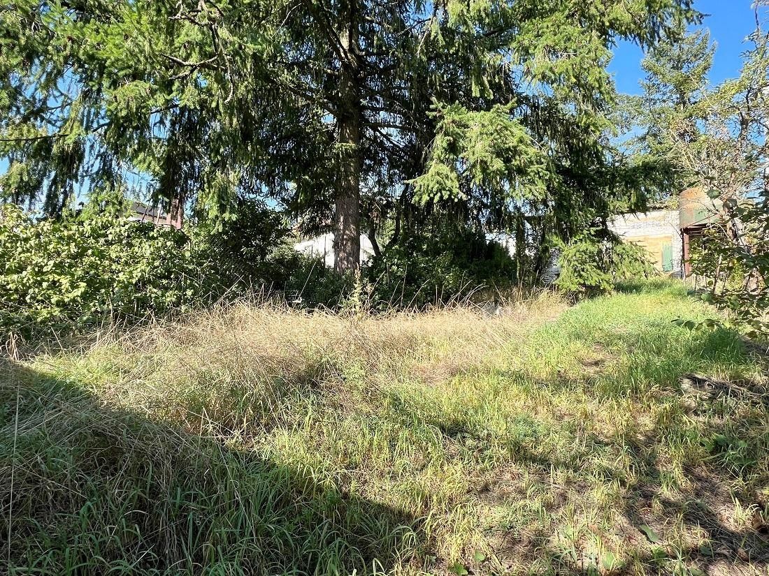 Prodej pozemku 1746 m² - foto 1