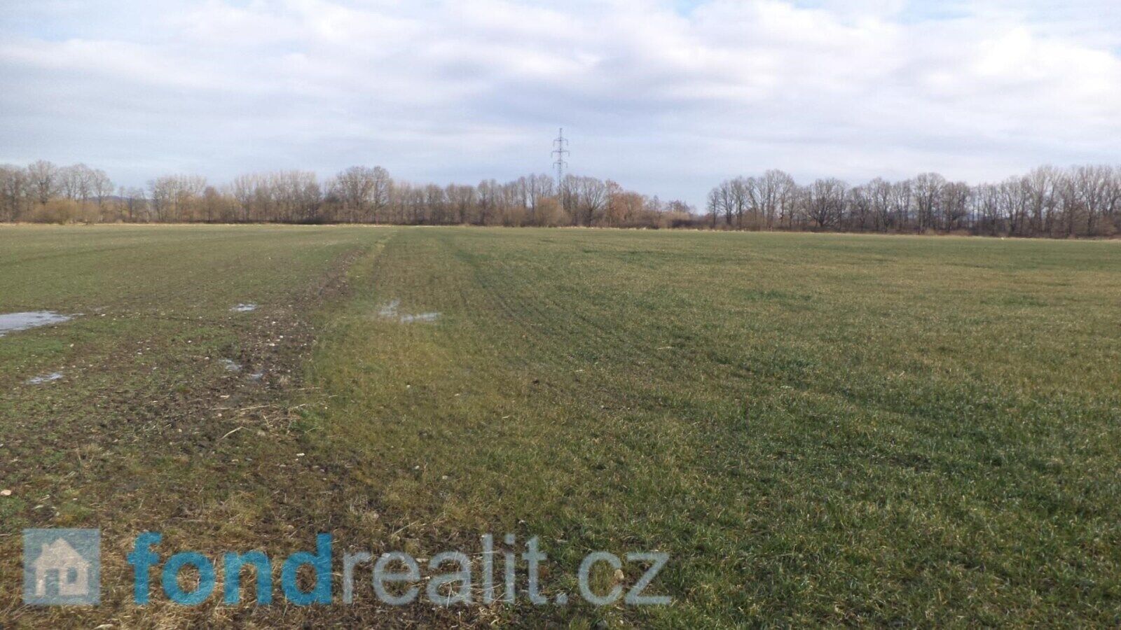 Prodej nemovitosti 62047 m² - foto 6