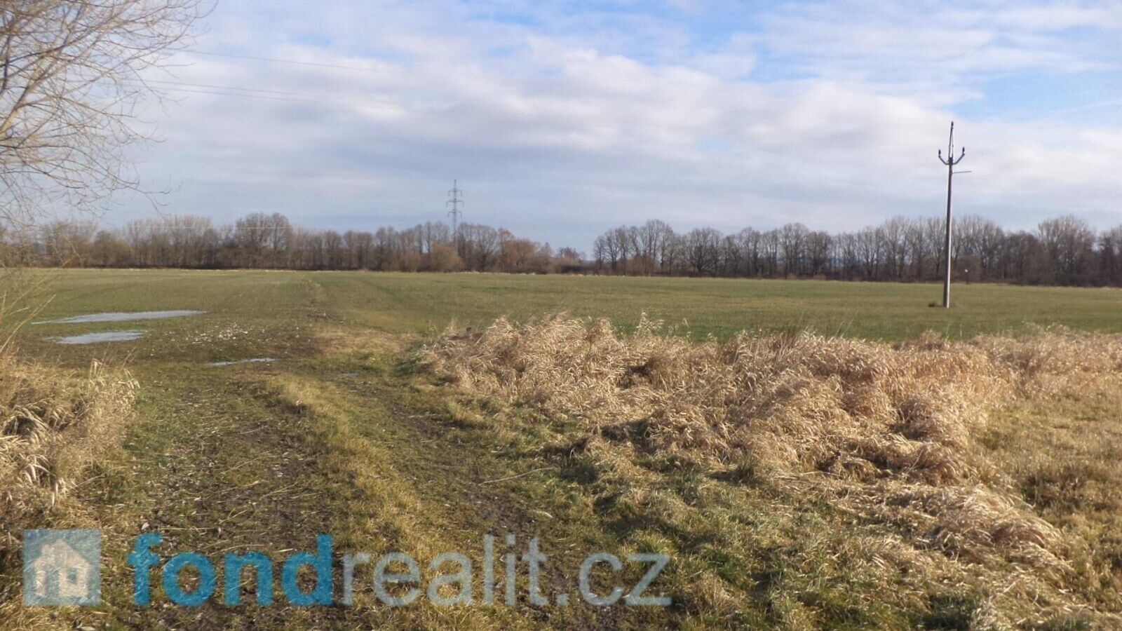 Prodej nemovitosti 62047 m² - foto 8