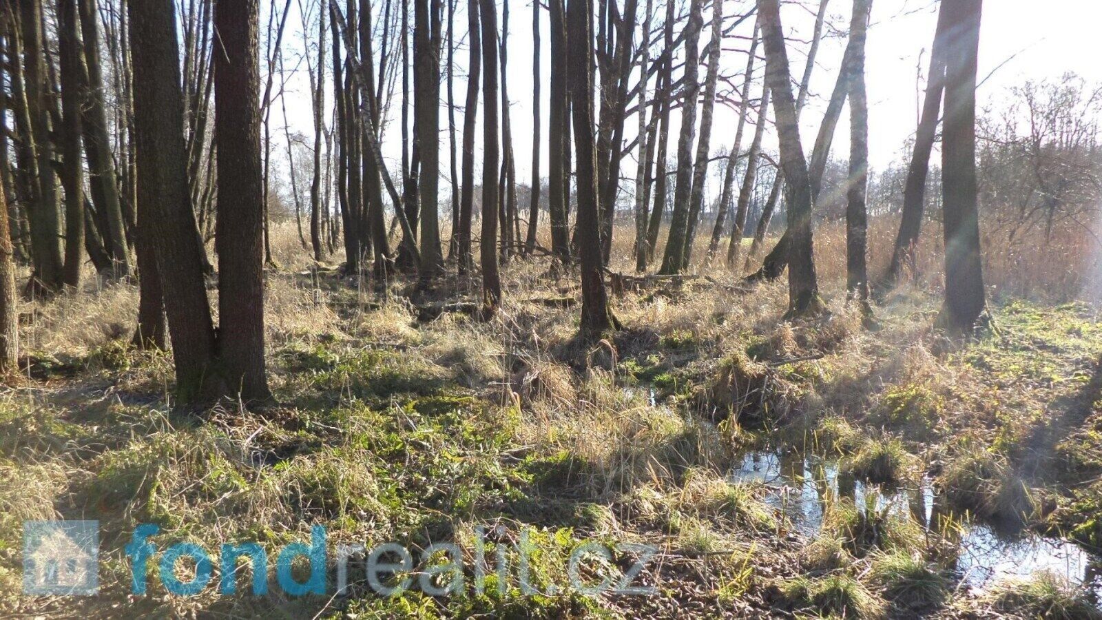 Prodej nemovitosti 62047 m² - foto 4