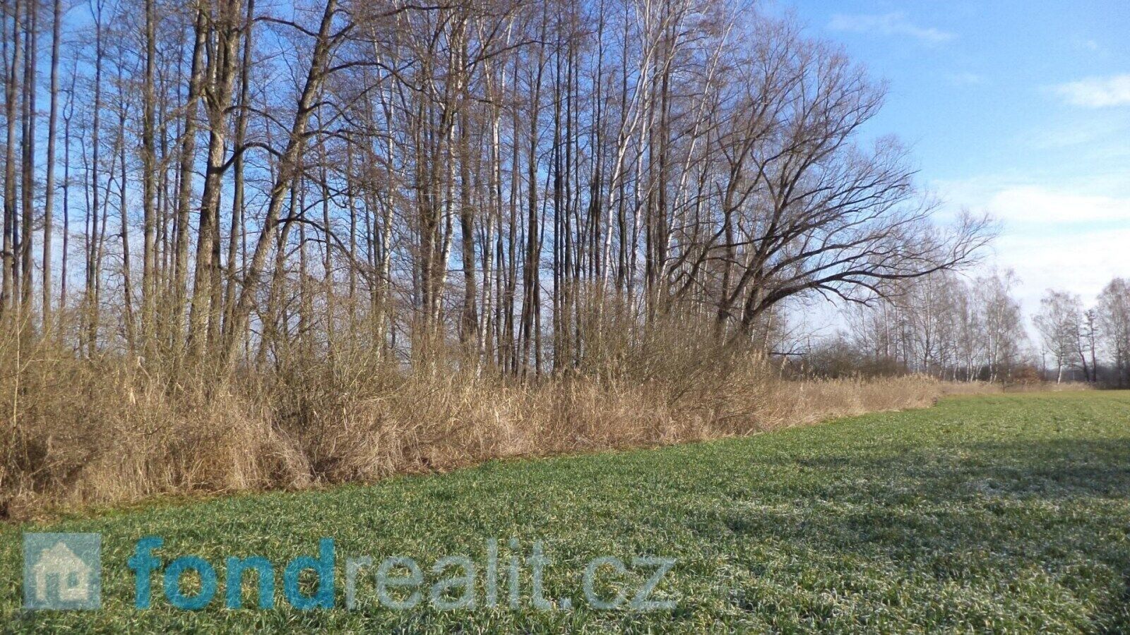 Prodej nemovitosti 62047 m² - foto 2
