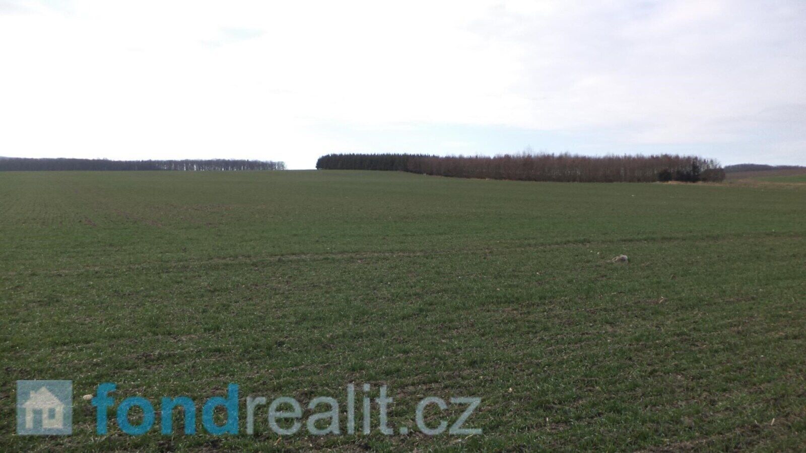 Prodej nemovitosti 62047 m² - foto 16