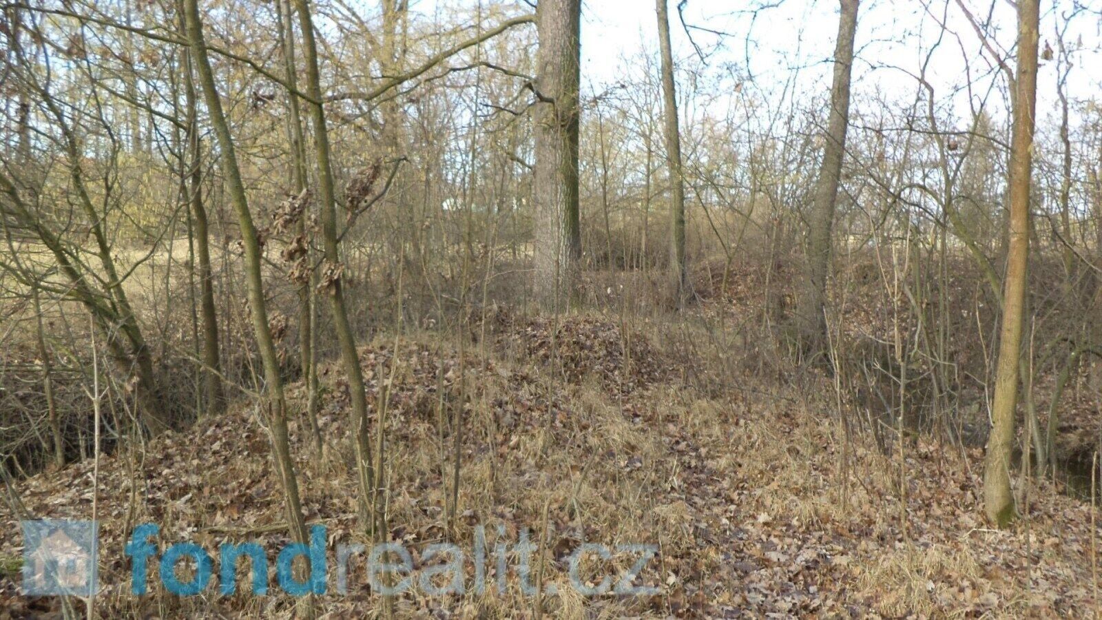 Prodej nemovitosti 62047 m² - foto 9