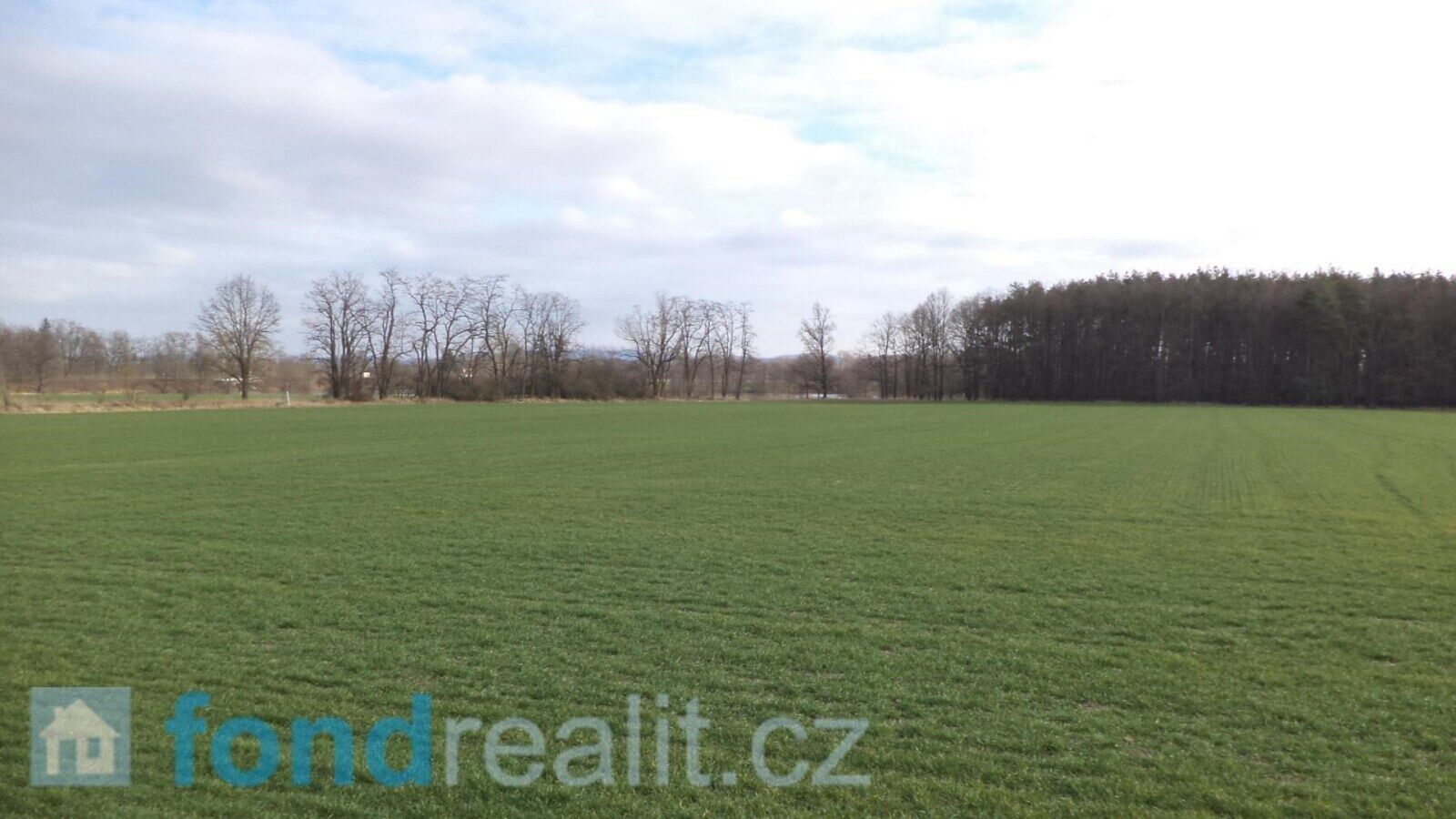 Prodej nemovitosti 62047 m² - foto 14