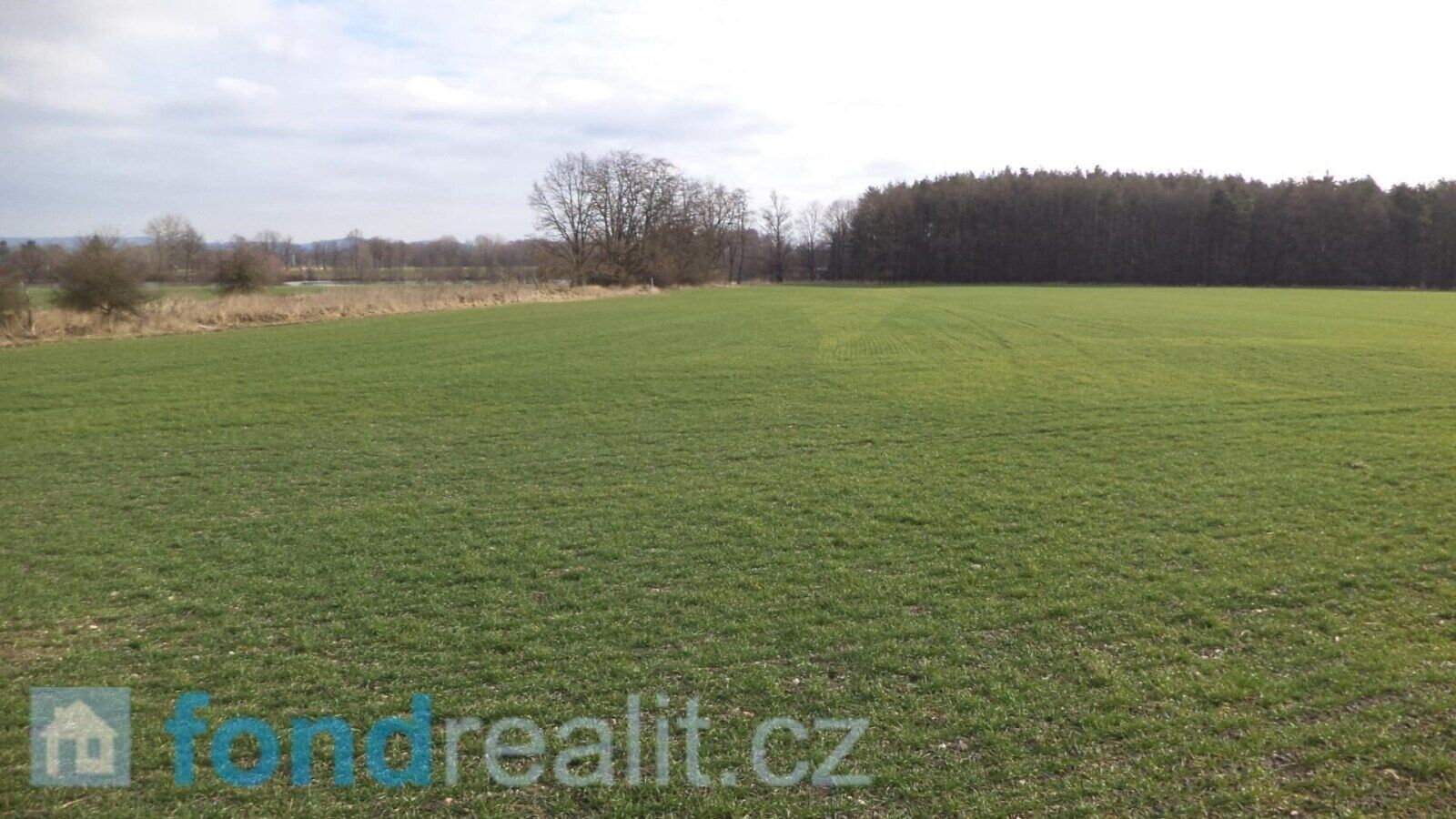 Prodej nemovitosti 62047 m² - foto 12