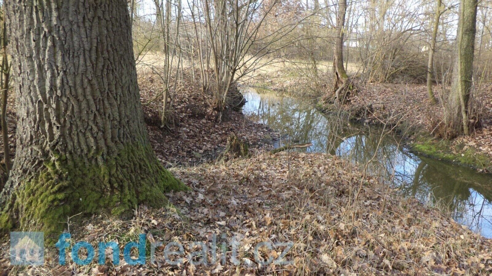 Prodej nemovitosti 62047 m² - foto 10