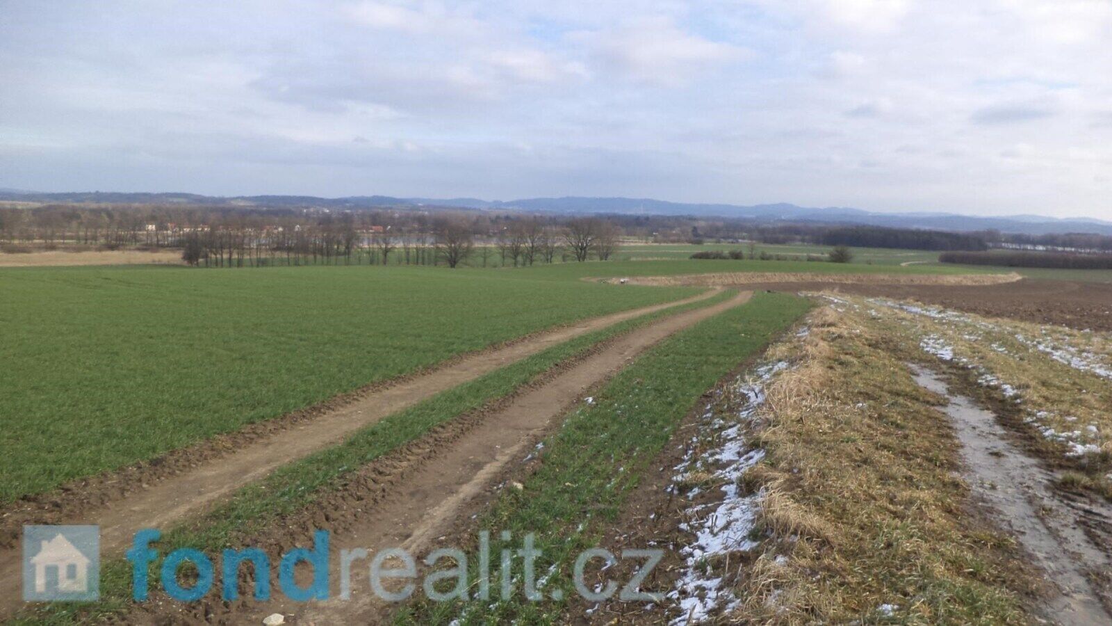Prodej nemovitosti 62047 m² - foto 19