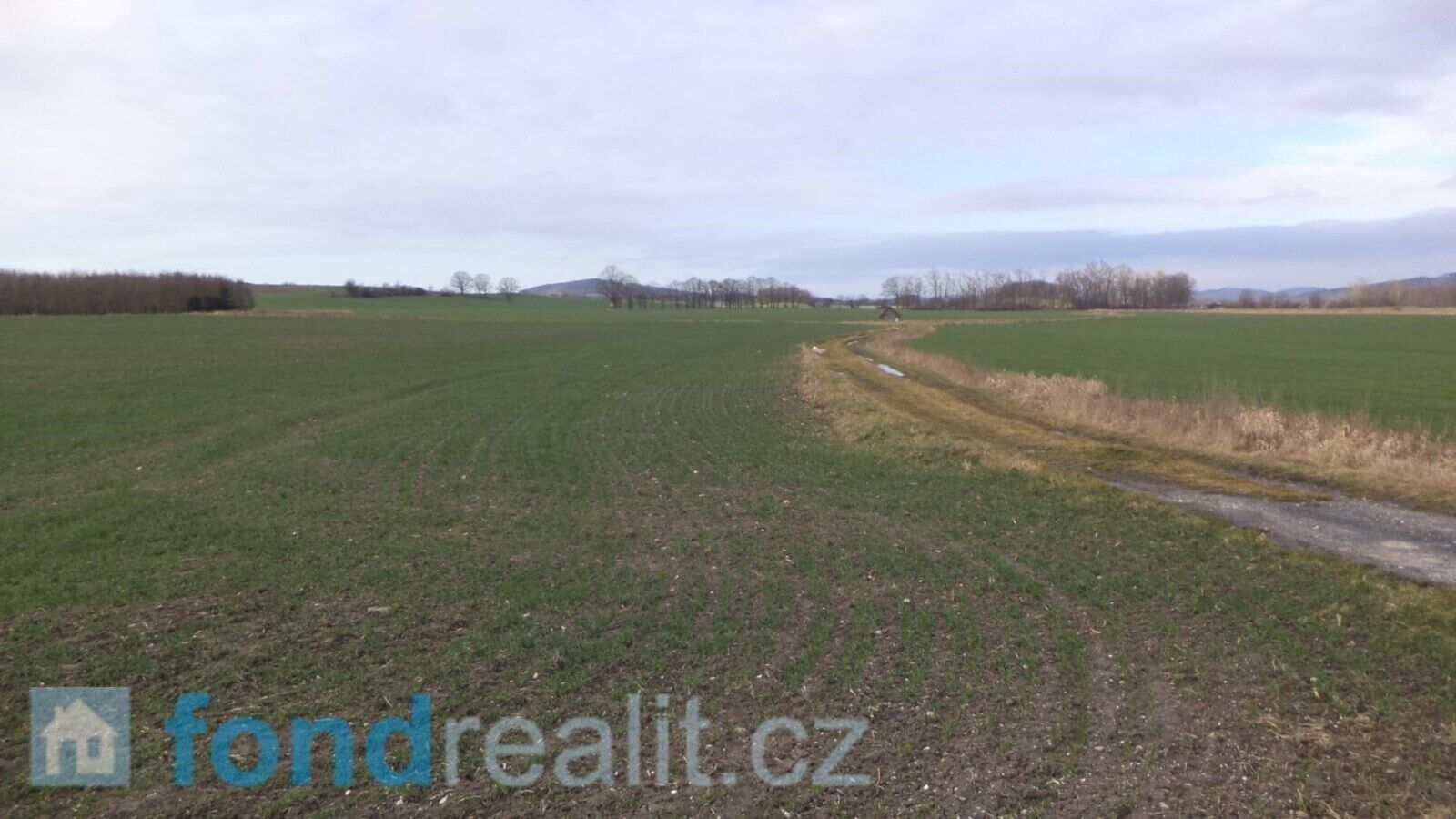 Prodej nemovitosti 62047 m² - foto 17