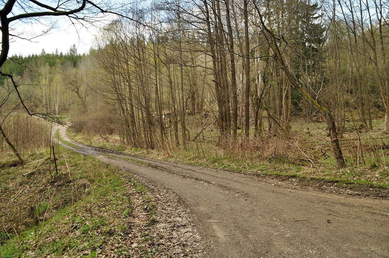 Prodej nemovitosti 19816 m² - foto 14