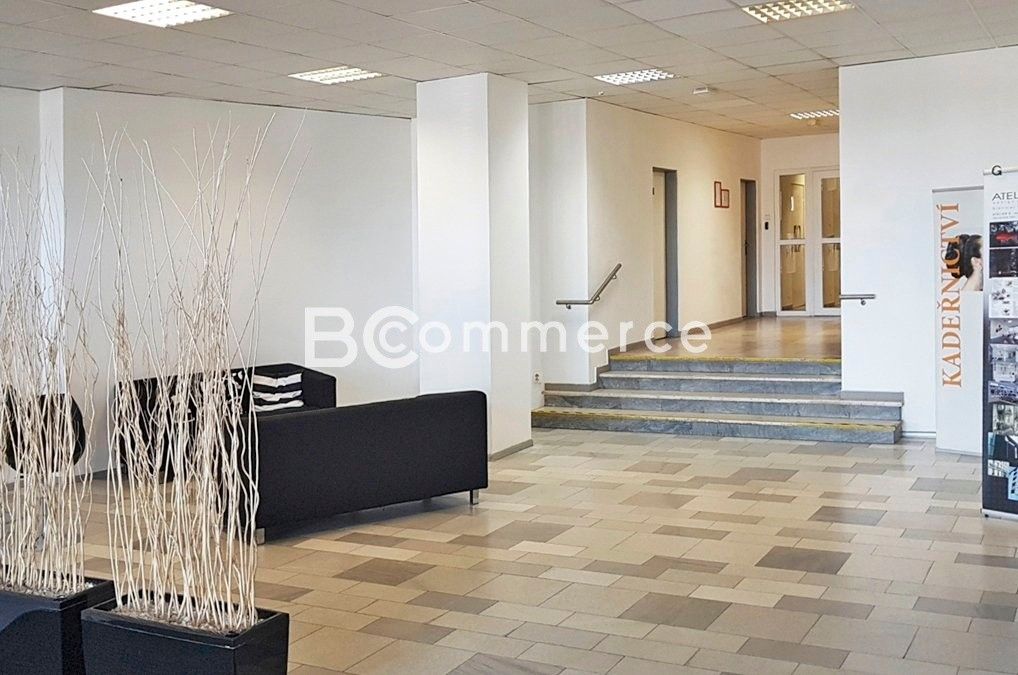 Pronájem komerčního prostoru 30 m² - foto 6