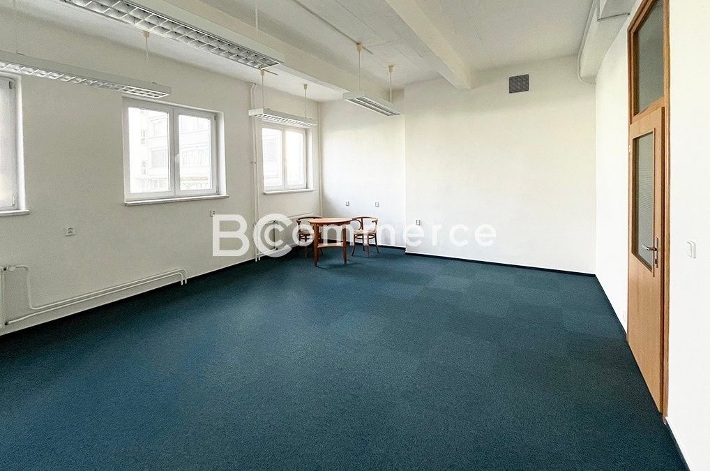 Pronájem komerčního prostoru 30 m² - foto 1