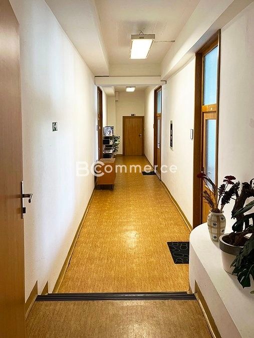 Pronájem komerčního prostoru 30 m² - foto 9